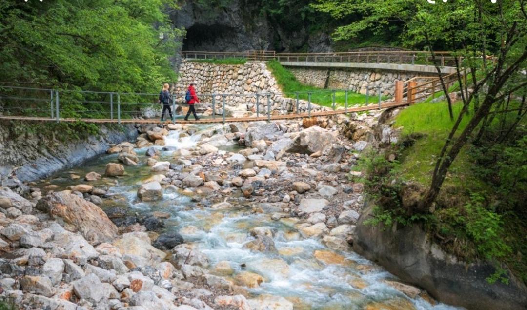 Apartma Jelendol Tržič Dış mekan fotoğraf